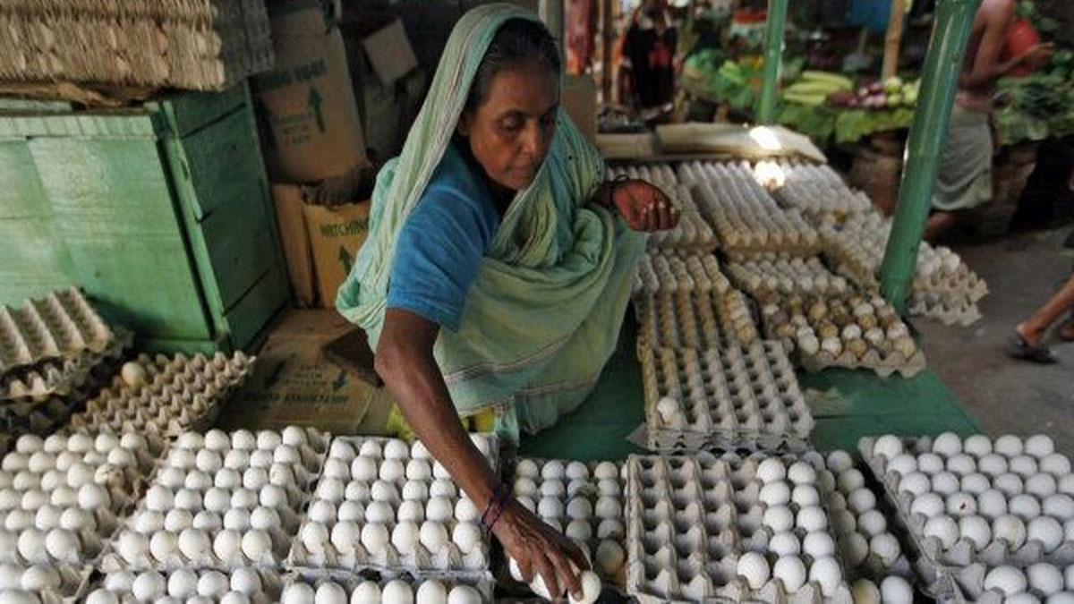 egg-shortage-threatens-nutrition-for-millions-in-india