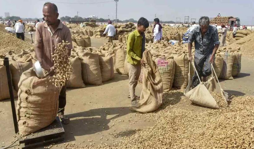 india-soybean-meal-exports