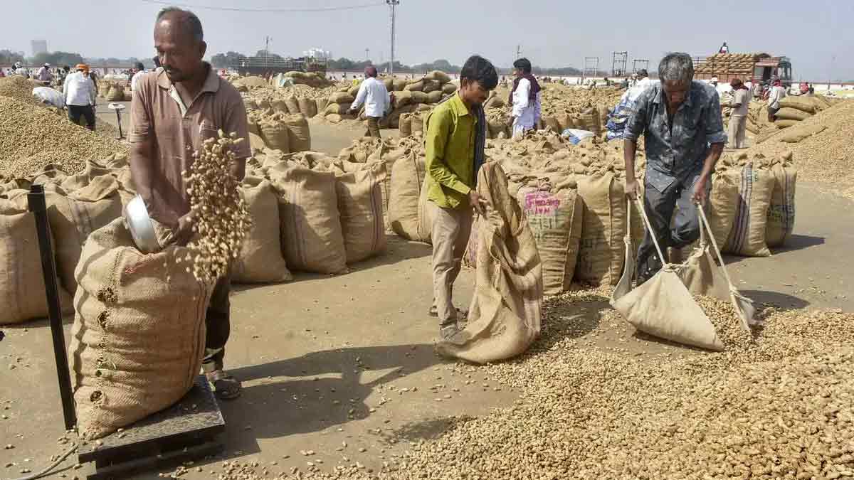 india-soybean-meal-exports