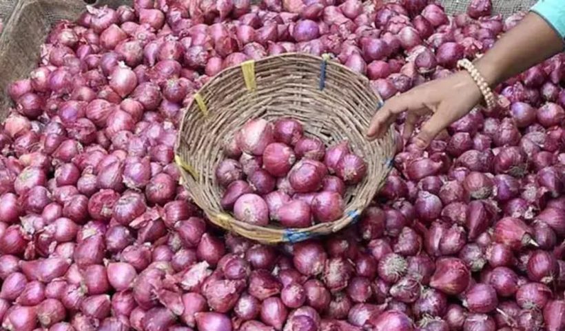 onions-worth-less-than-labor-farmers-66000-effort-yields-just-664