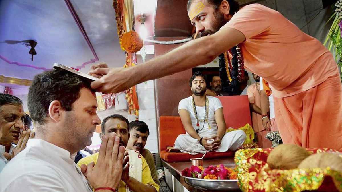 rahul-gandhi-diwali-celebration-delhi-sweet-shop