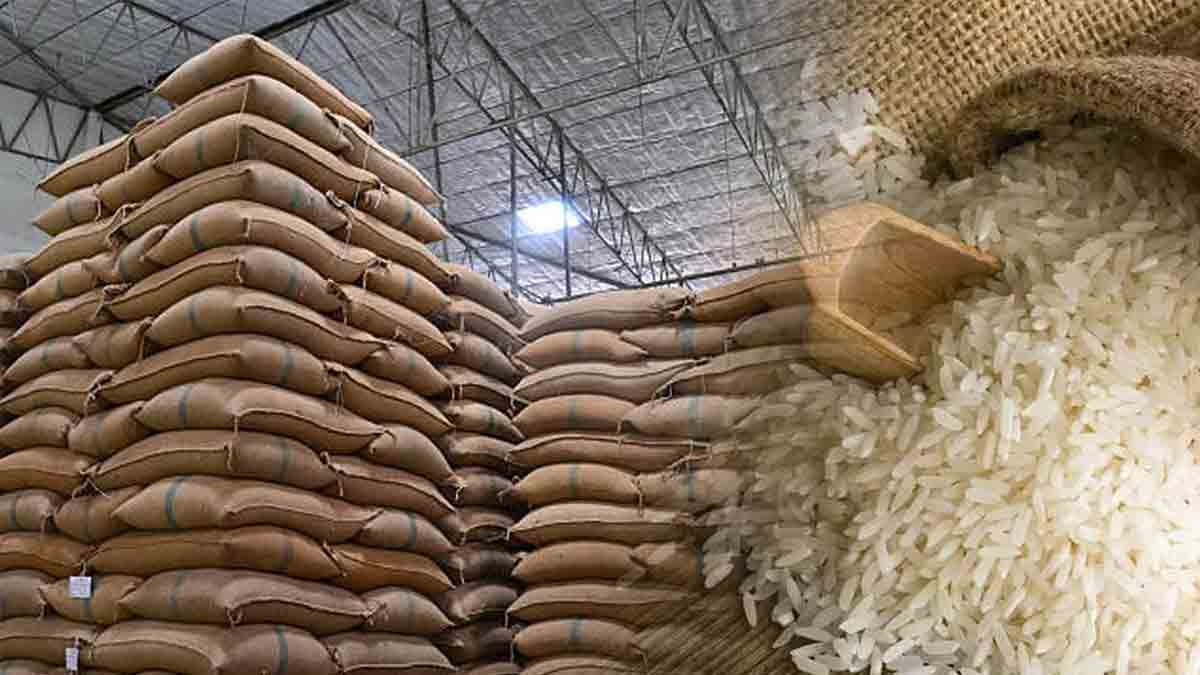 india-rice-export-growth-2025-birc-global-markets