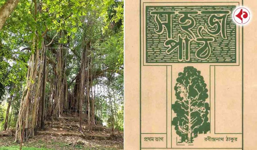 Discover the untold story of Santiniketan’s “Three Hill Banyan Tree” seen on the cover of Sahaj Path. Planted by Debendranath Tagore and nurtured by Rabindranath, it remains a living symbol of Bengali heritage.