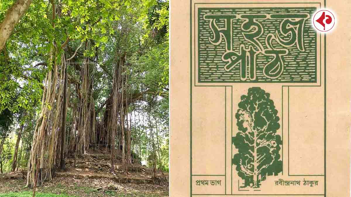 Discover the untold story of Santiniketan’s “Three Hill Banyan Tree” seen on the cover of Sahaj Path. Planted by Debendranath Tagore and nurtured by Rabindranath, it remains a living symbol of Bengali heritage.