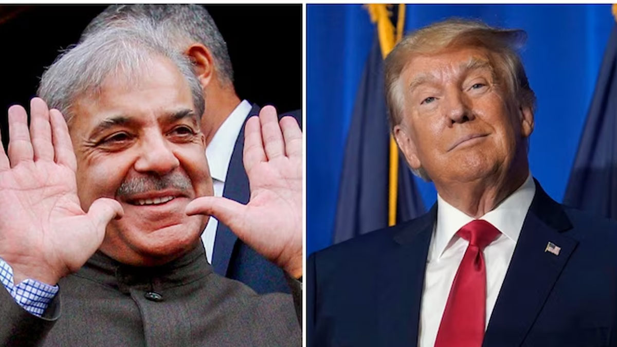 Shehbaz Sharif Faces Political Backlash Over Support for Trump's Gaza Proposal