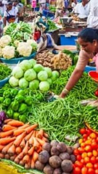 Today’s-Vegetable-Market-Update