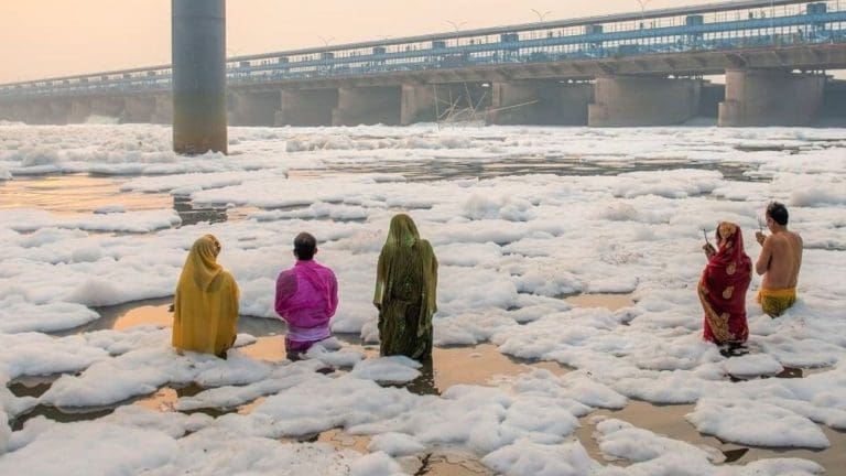 যমুনায় ভাসছে ফেনা! বিজেপির বিরুদ্ধে ‘মিথ্যের’ অভিযোগে সরব কংগ্রেস