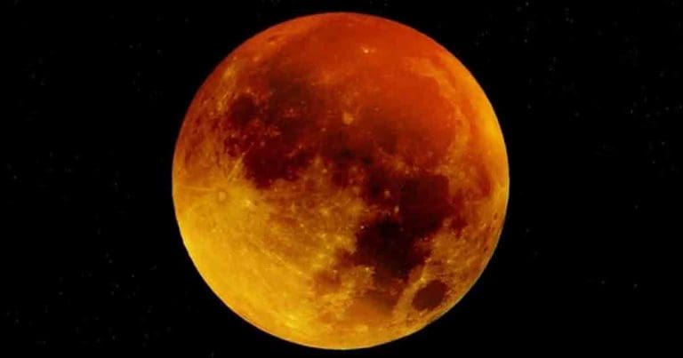 Beaver Moon