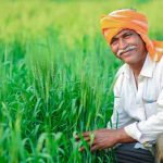 কেন্দ্রীয় কৃষি বিশ্ববিদ্যালয়ে শূন্যপদ ঘোষণা, পরীক্ষা ছাড়াই হবে নির্বাচন