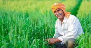 farmer