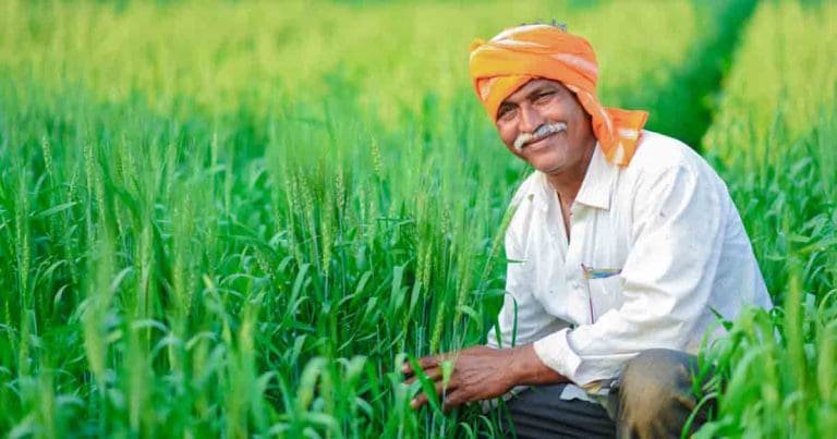 কেন্দ্রীয় কৃষি বিশ্ববিদ্যালয়ে শূন্যপদ ঘোষণা, পরীক্ষা ছাড়াই হবে নির্বাচন farmer