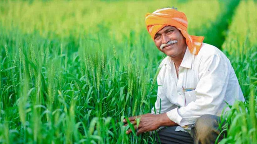 farmer