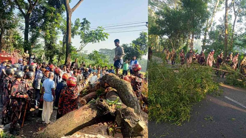 শেখ হাসিনা রায়ের আগে বাংলাদেশজুড়ে হিংসা-অবরোধে উত্তপ্ত পরিস্থিতি 3 bangladesh-unrest-ahead-of-sheikh-hasina-verdict-violence-road-blockades