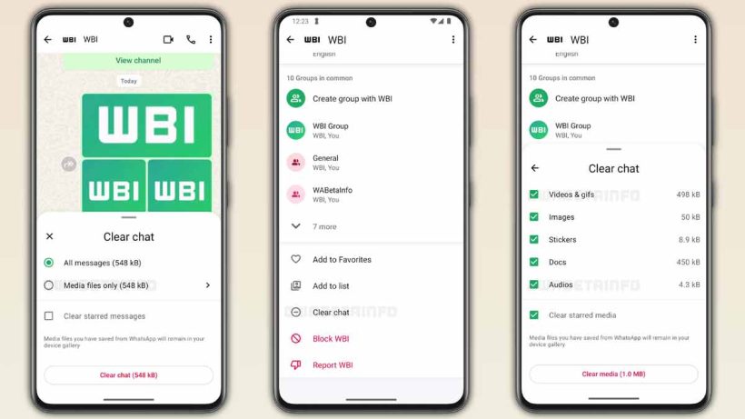 WhatsApp Chat Cleanup feature