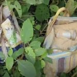 মুর্শিদাবাদে নাশকতার ছক! পুলিশের রাডারে সইদুল