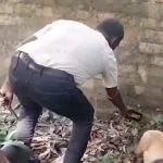 SIR শুরুই হতেই মুর্শিদাবাদে উদ্ধার ১৫০ বোমা