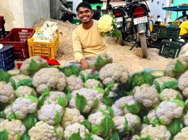 cauliflower in market