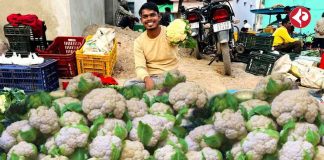 cauliflower in market
