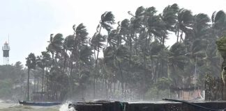 cyclone-ditwah-south-india-alert