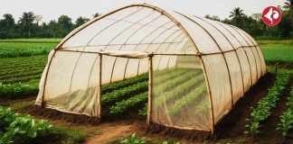 low-cost-Polyhouse-Farming-models-for-small-farmers-in-benghal-guide