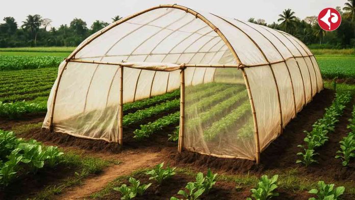 low-cost-Polyhouse-Farming-models-for-small-farmers-in-benghal-guide