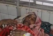 harishchandrapur-blo-assault-tmc-controversy