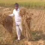 ভোটের আগে কৃষিকাজে ব্যস্ত মন্ত্রী, ভিডিওতে চর্চা