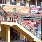 দোকানে ঢুকে বাঁদরের তাণ্ডব, বিপর্যস্ত দোকানদার