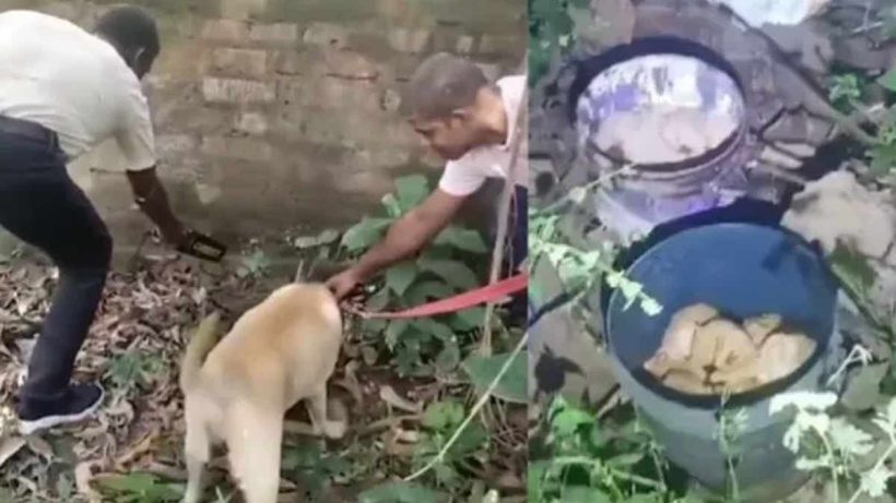 murshidabad-bomb-recovery-west-bengal-2025