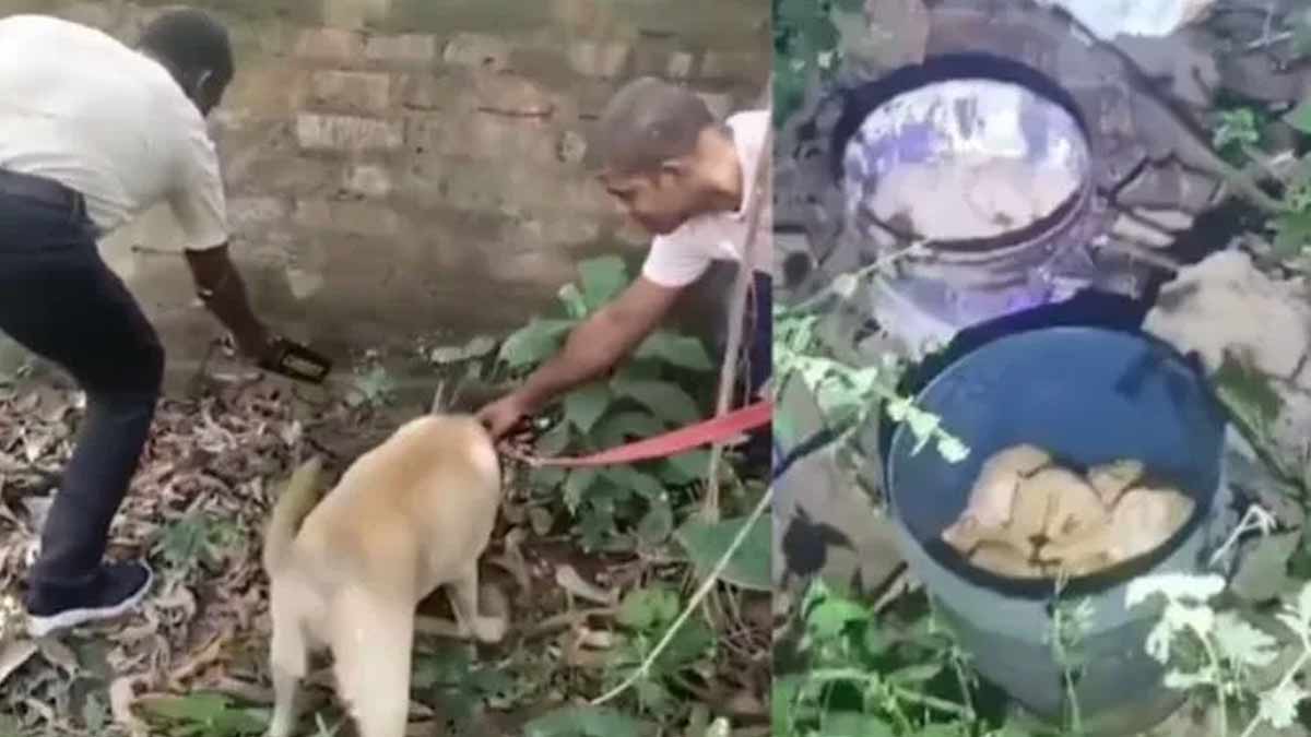 murshidabad-bomb-recovery-west-bengal-2025