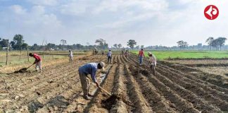 north-bengal-land-preparation-cold-season-farming-guide