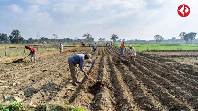 north-bengal-land-preparation-cold-season-farming-guide