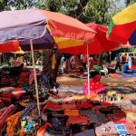 বোলপুরে নতুন হাট, সোনাঝুরি জঙ্গল সংরক্ষণে বড় সিদ্ধান্ত