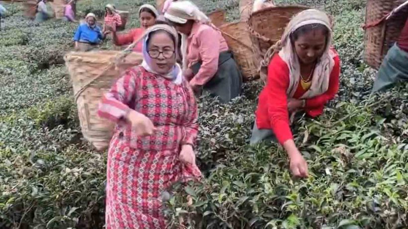 cha-sundari-project-eviction-allegations-tarunjyoti-tiwari