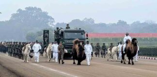Indian Army Animal Parade