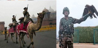 Army animal parade on Kartavya Path