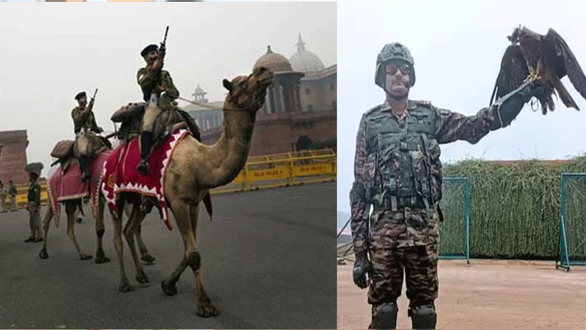 Army animal parade on Kartavya Path