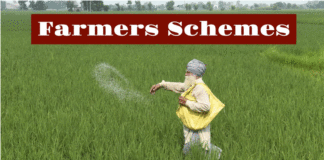 National Farmers Day India