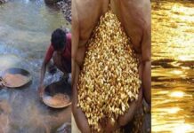 বাংলায় মিলল ৯ টি স্বর্ণখনির হদিস gold-discovery-west-bengal-purulia-rudra