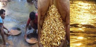 gold-discovery-west-bengal-purulia-rudra