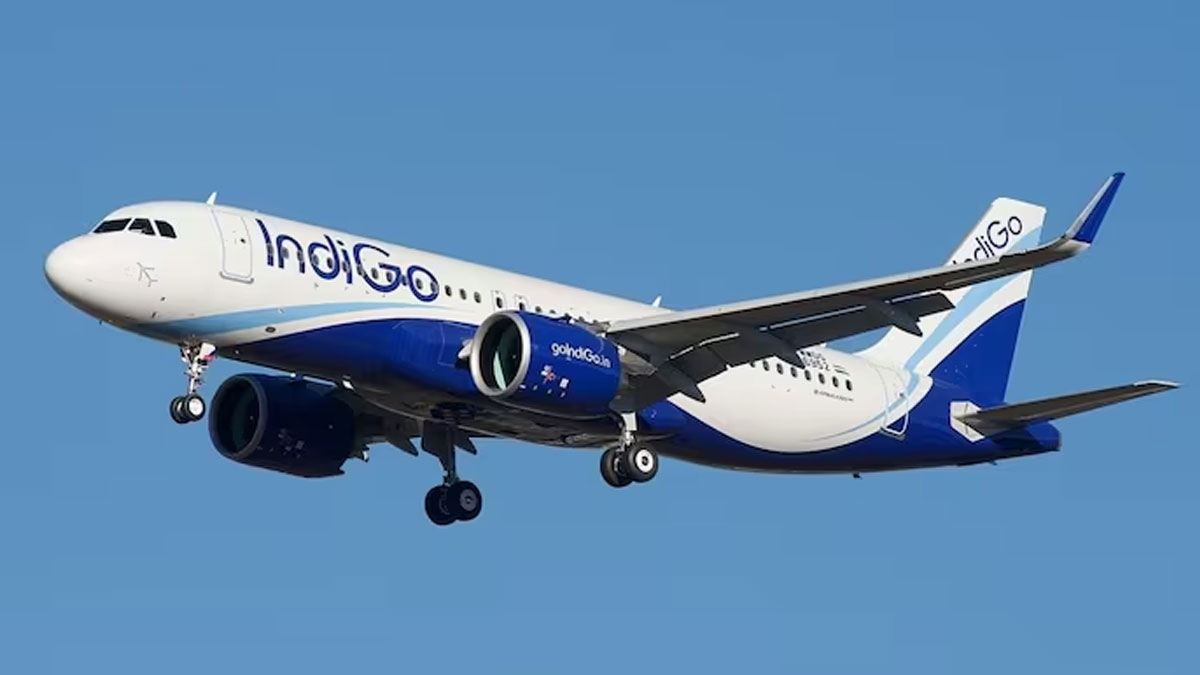 Indigo Flight Cancellation