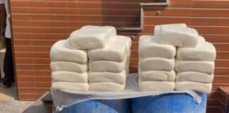 police-raid-exposes-fake-paneer-factory-in-chhattisgarh-huge-stock-destroyed