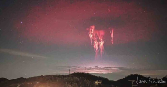 red-monsters red monsters