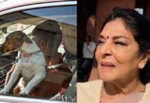sambit-patra-rahul-renuka-parliament-dog-controversy-news