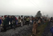 হাতির পালের সঙ্গে ধাক্কায় লাইনচ্যুত রাজধানী এক্সপ্রেসের ৫টি কামরা, মৃত ৮ হাতি 8 Elephants Killed After Collision With Rajdhani Express