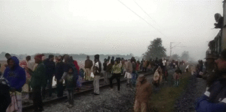 8 Elephants Killed After Collision With Rajdhani Express