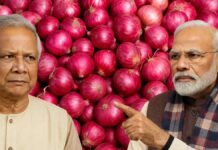 অভাবে পড়ে ফের ভারতের কাছ থেকে পেঁয়াজ আমদানি বাংলাদেশের bangladesh-resumes-onion-import-from-india-price-hike-analysis