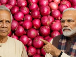 bangladesh-resumes-onion-import-from-india-price-hike-analysis
