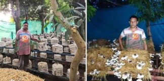 Chhattisgarh, Farmer Income,Mushroom Farming