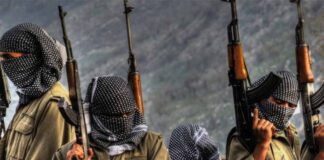 isis-inspired-terror-plot-foiled-usa-new-year